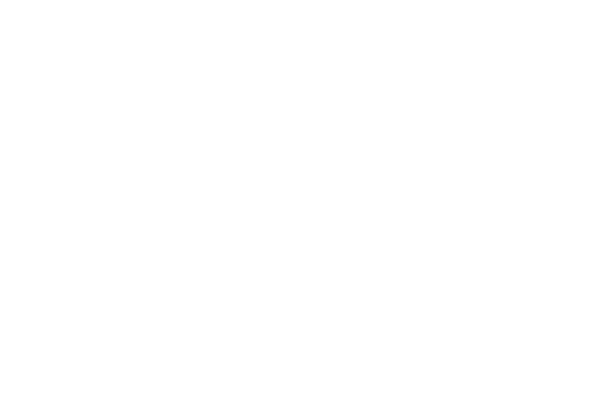 Logo IBJR